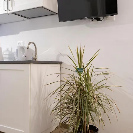 Torre Delle Rondini Apartment Isolabona